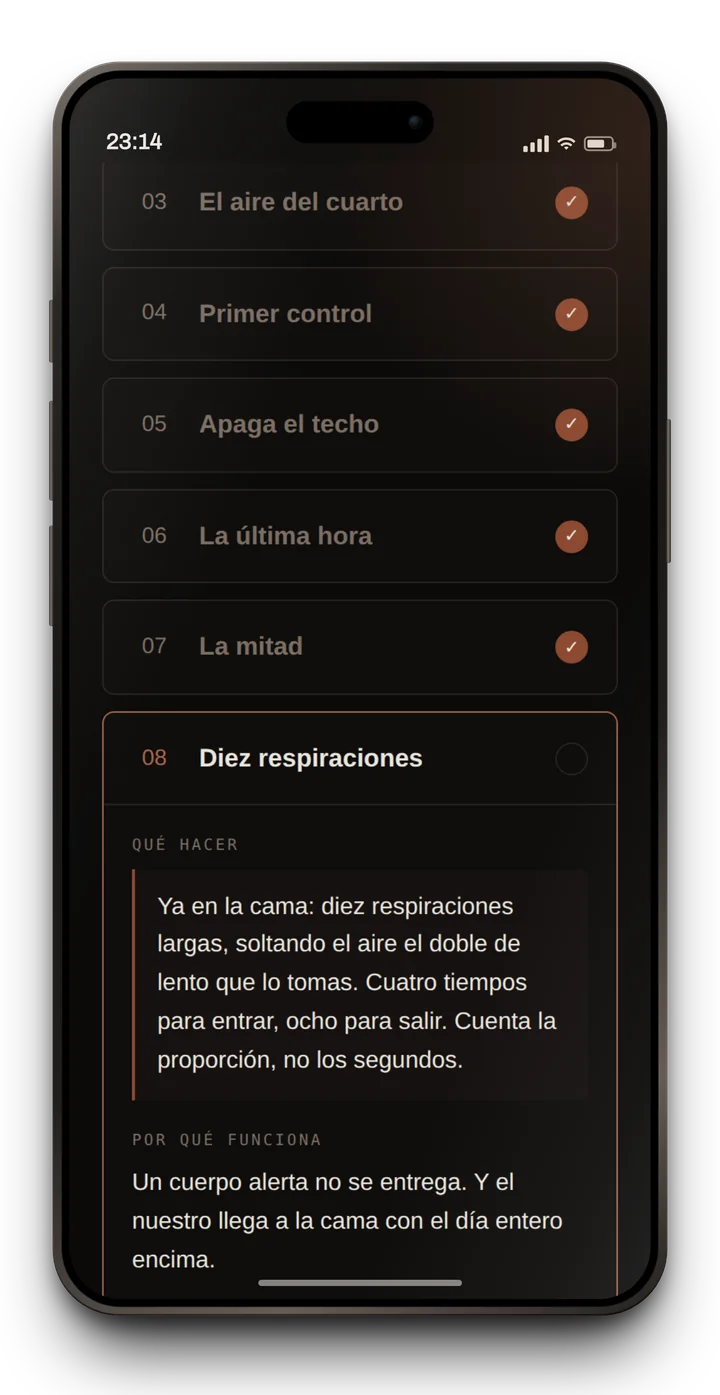 Una noche abierta en la app, con qué hacer y por qué funciona