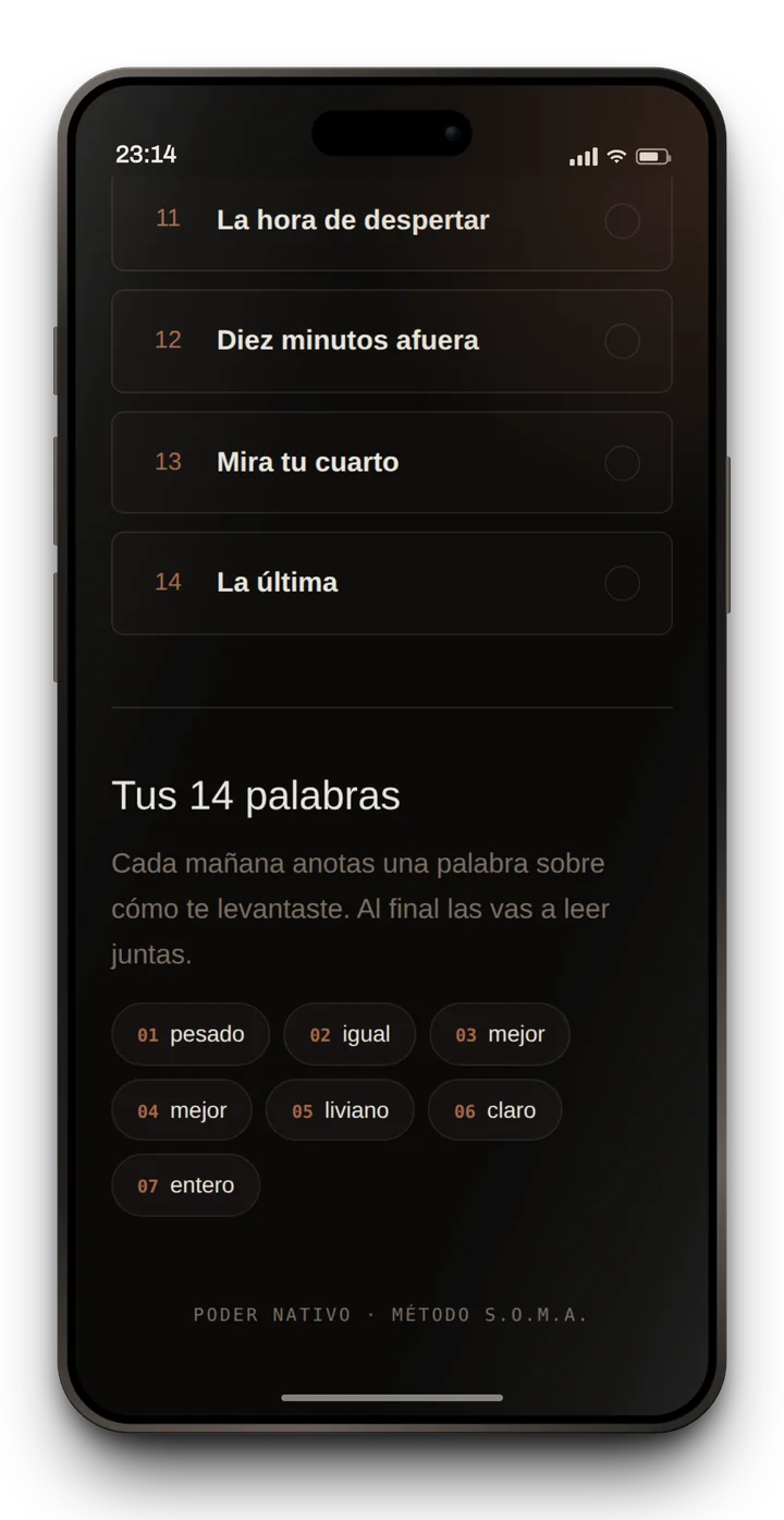 Las 14 palabras anotadas